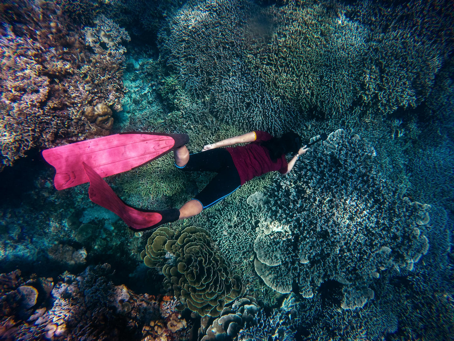 SNORKELING