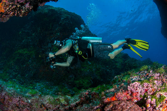 CMAS 2 (Level 2 Diver)
