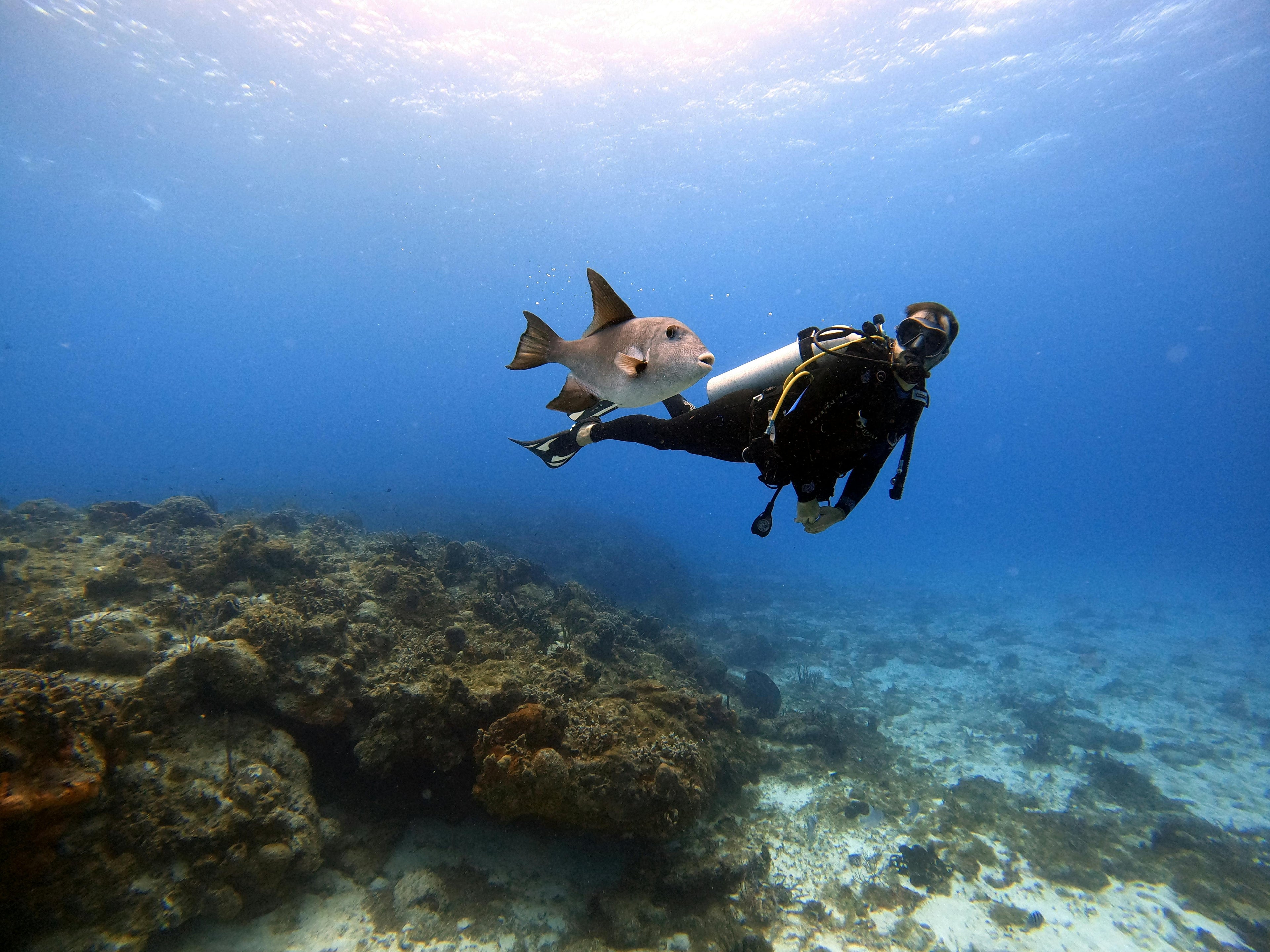 PADI - Dive Master