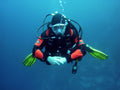 Plongées exploration – Pour plongeurs certifiés et autonomes