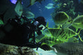 PADI - Advanced Open Water Diver